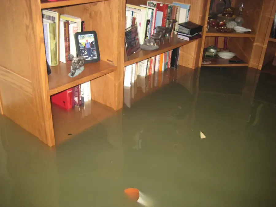 Flood Damage Cleanup in Hawaiian Gardens, CA